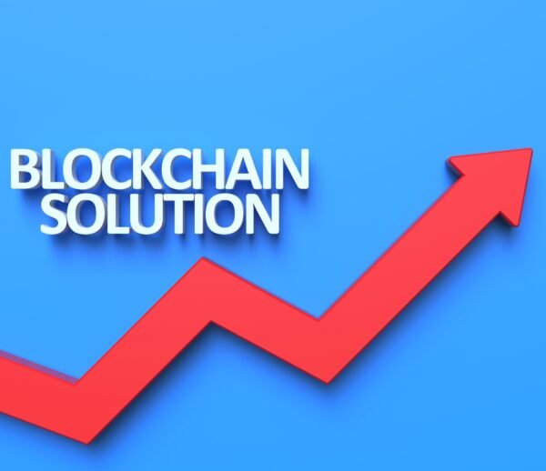 Blockchain Network Development